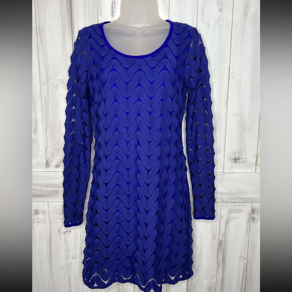 Free People Cobalt Blue Textured Long Sleeve Dress~NWOT~STUNNING